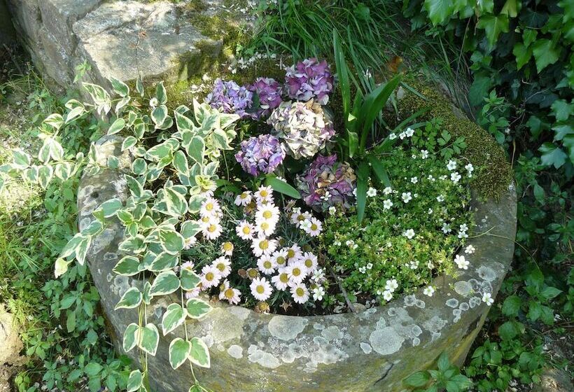 فندق ريفى Agriturismo Podere Il Palagio