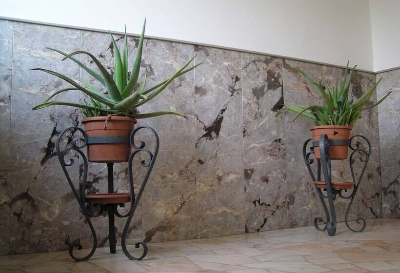 פנסיון Oleaclub Locazione Turistica