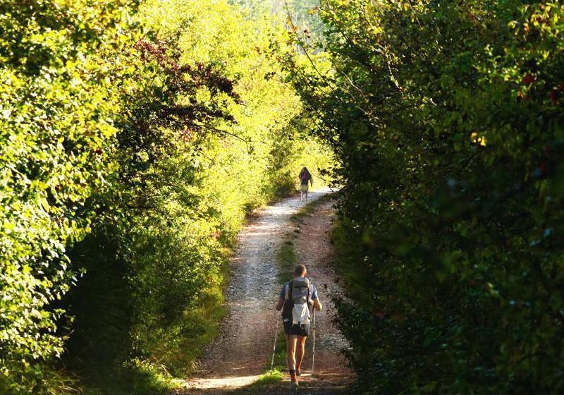Fattoria L  Aquilone