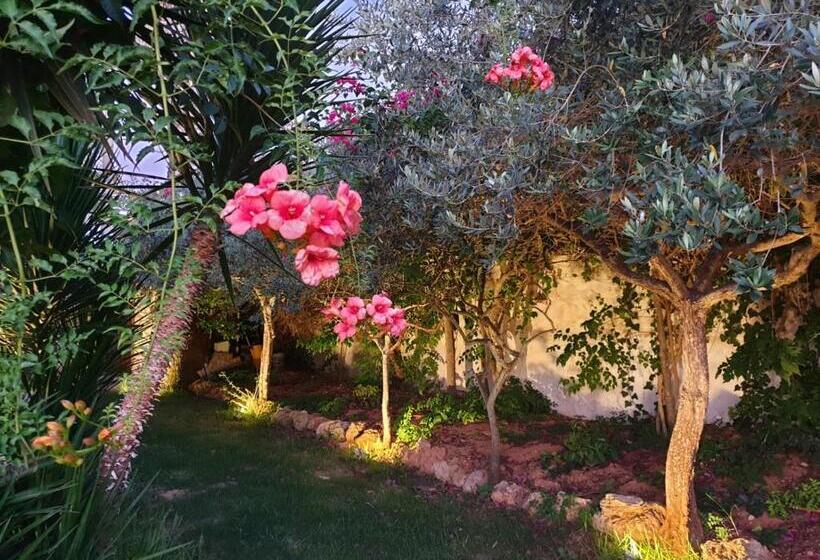 Anastasia Villas B&b   Casa Vacanze