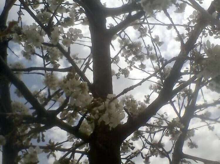 B&b And Wellness Il Pomario Di Montepiglio Resort Naturista