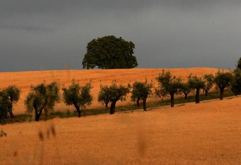 B&b And Wellness Il Pomario Di Montepiglio Resort Naturista