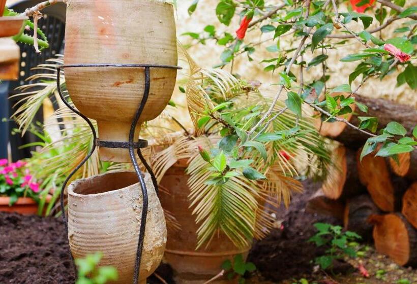 B&b Il Melograno Antico Con Terrazza E Giardino