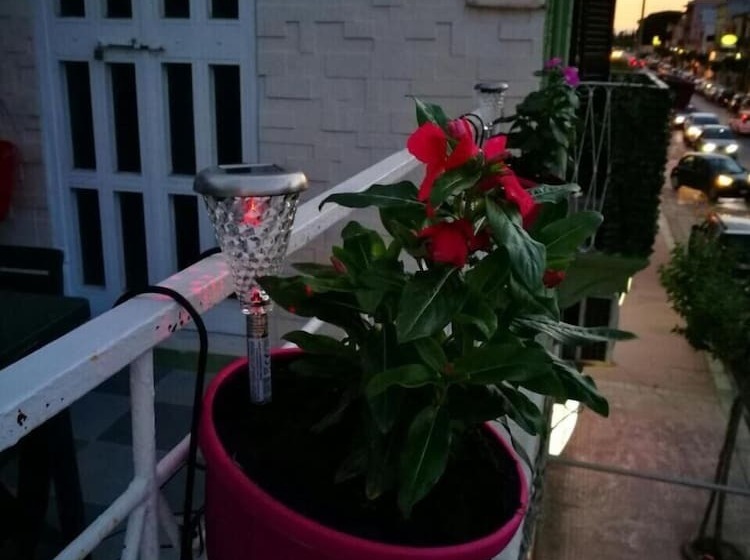 ベッドアンドブレックファースト A Casa Di Alice