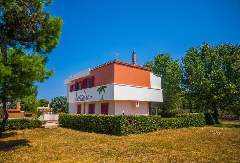 تختخواب و صبحانه Paradise Beb