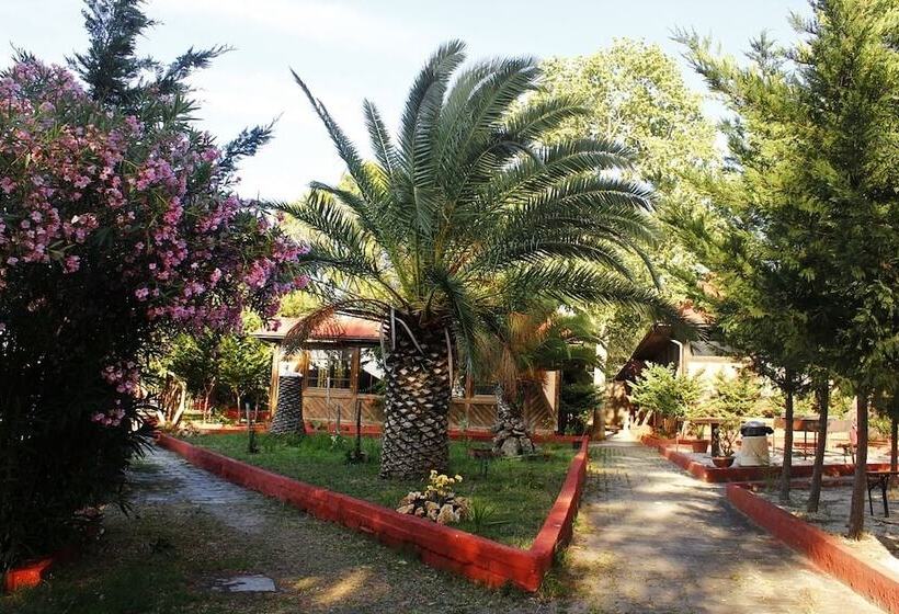 ホテル Falanto Camping Village