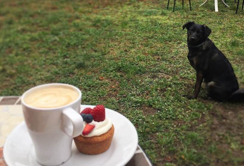 酒店 Prato Verde Risto