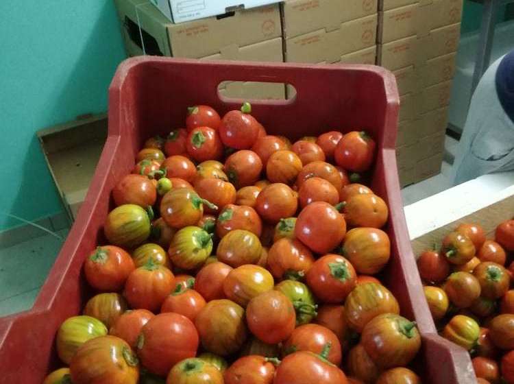 田舎風ホテル Agriturismo Calivino