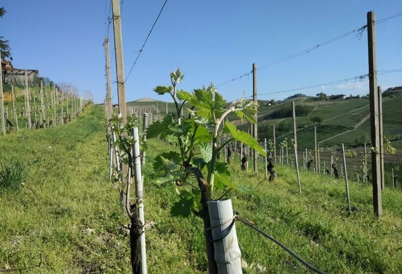 乡村酒店  Agriturismo La Bioca