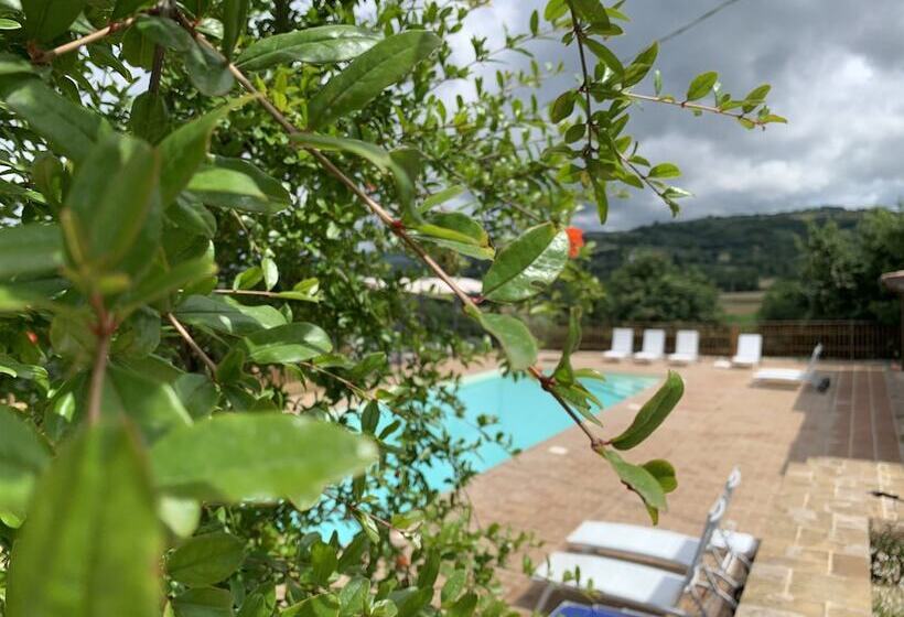 هتل روستایی Agriturismo La Palazzetta Di Assisi