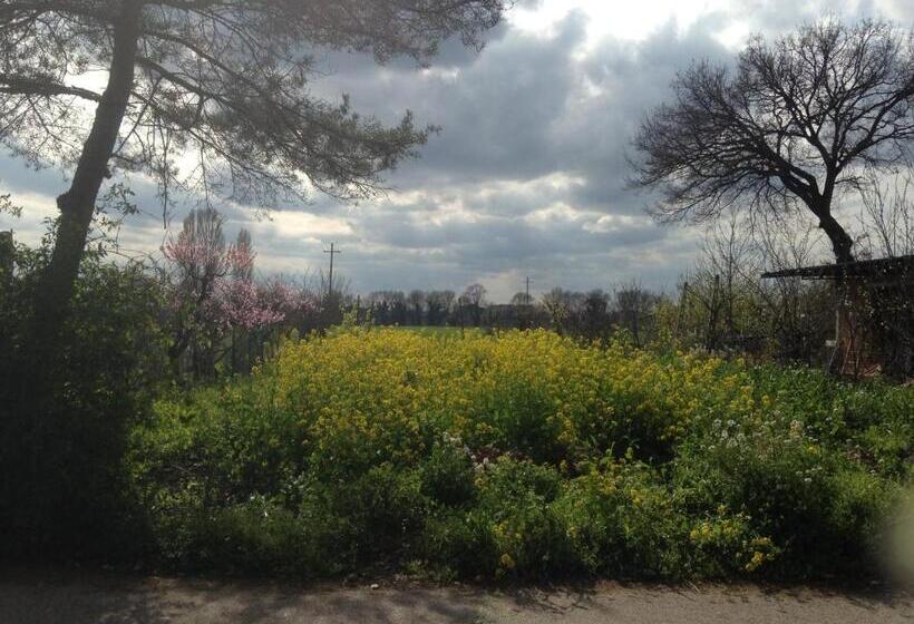 هتل روستایی Agriturismo La Palazzetta Di Assisi