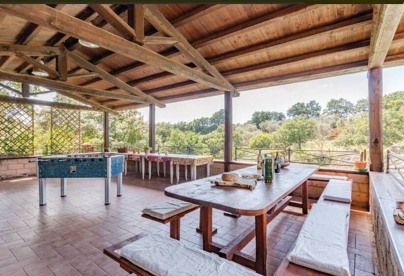 בית מלון כפרי Bio Agriturismo Il Cavone
