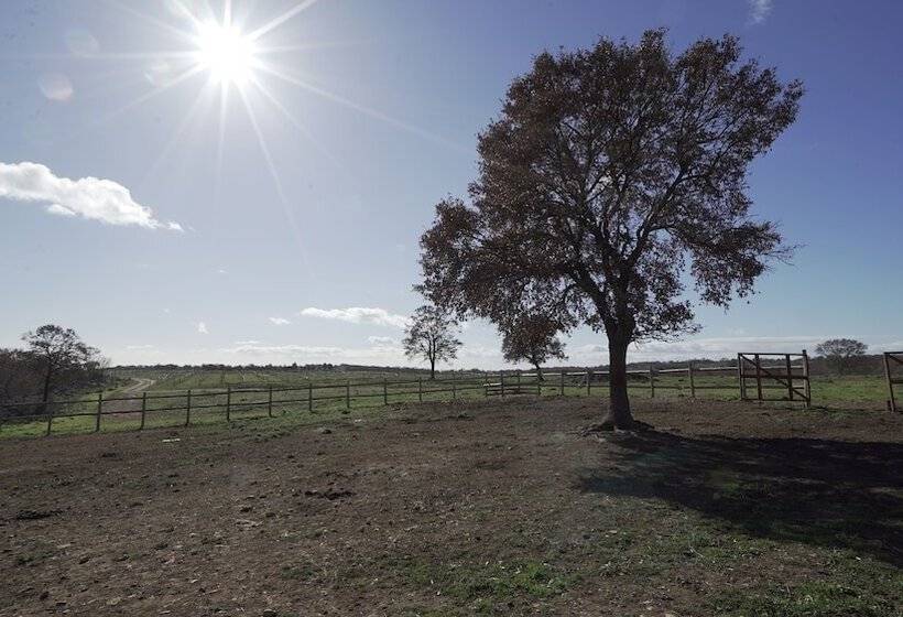 בית מלון כפרי Iazzo Annunziatella