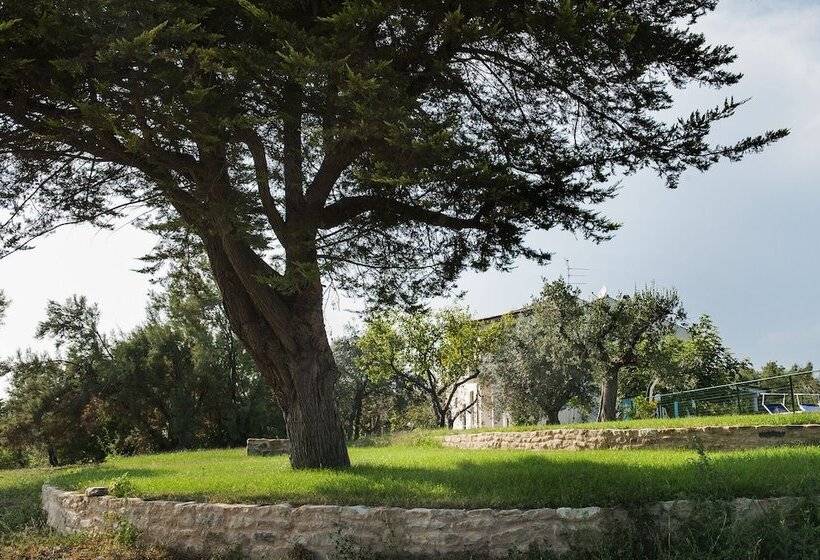 乡村酒店  Villa Marchetti