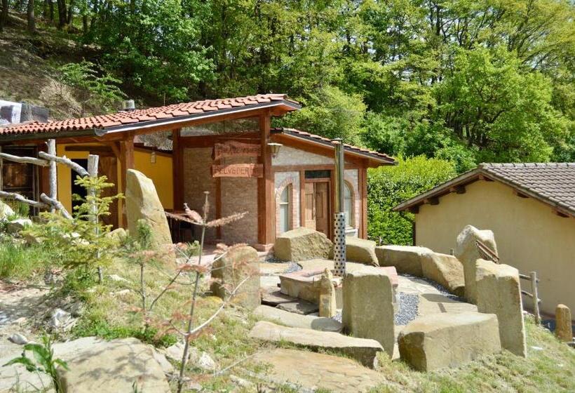 Agriturismo La Contessa Quarter Horse