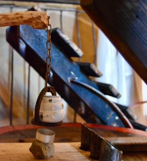 Agriturismo La Contessa Quarter Horse