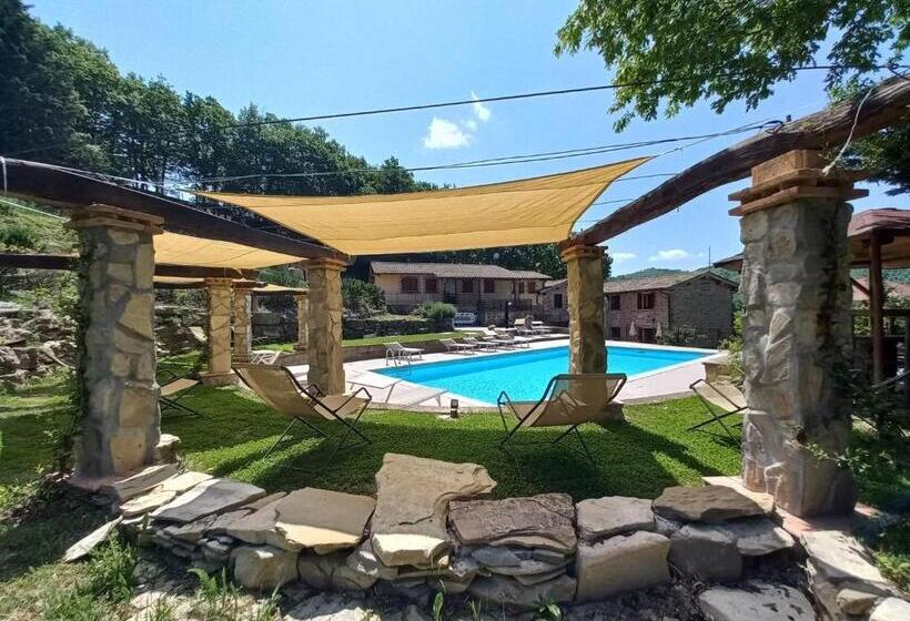 Agriturismo La Contessa Quarter Horse