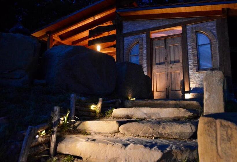 Agriturismo La Contessa Quarter Horse