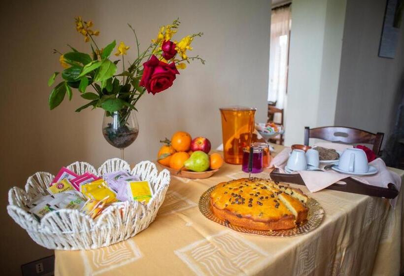 Agriturismo La Contessa Quarter Horse