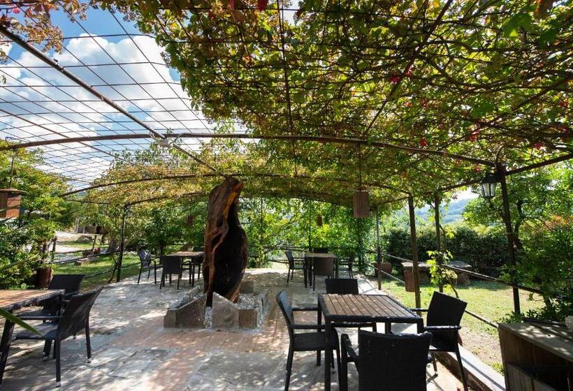 Agriturismo La Contessa Quarter Horse