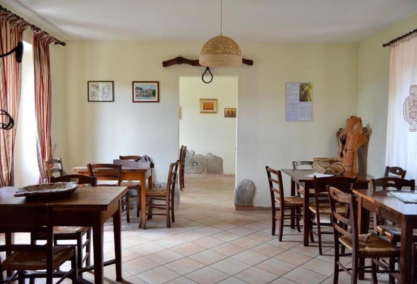 Agriturismo La Contessa Quarter Horse