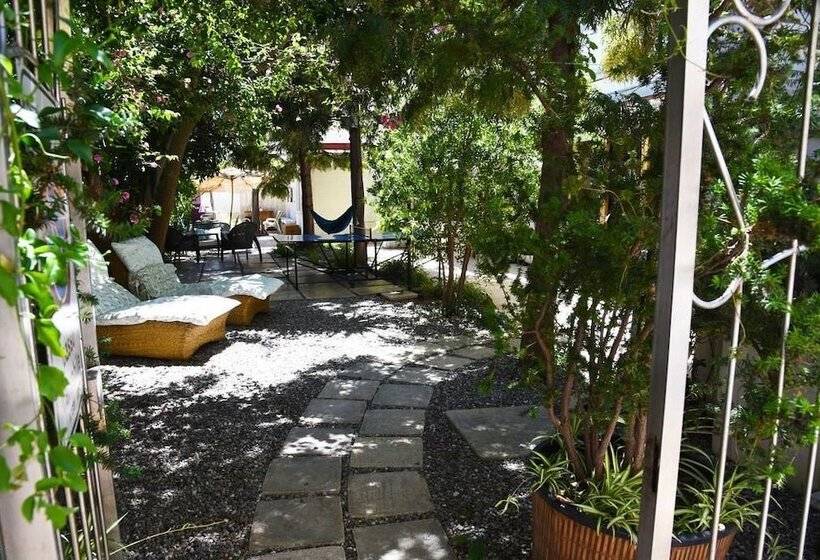 B&b Al Vecchio Glicine