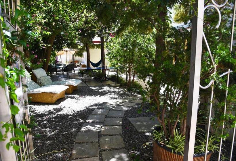 B&b Al Vecchio Glicine