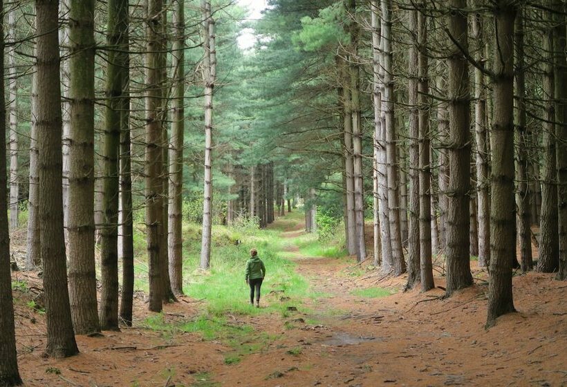 צימר Casa Del Movimento Lento   Guesthouse