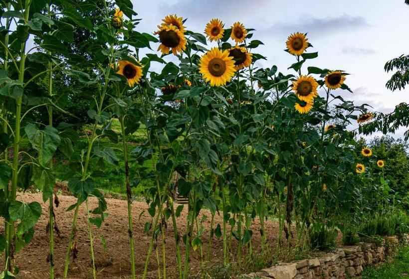 B&b Cascina Sant Elena