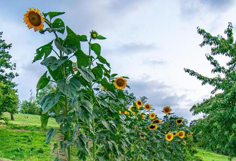 B&b Cascina Sant Elena