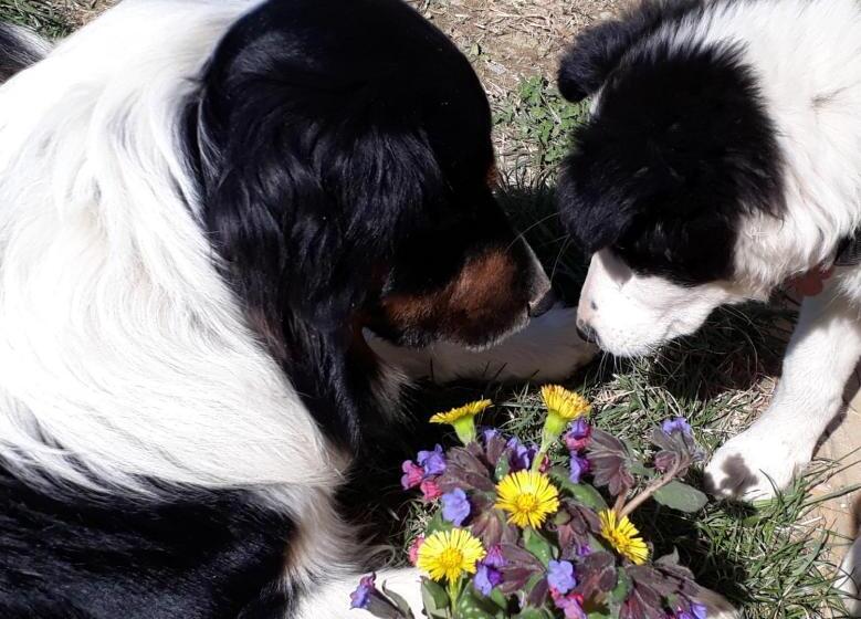 B&b Cascina Sant Elena