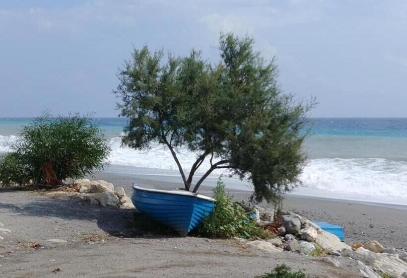 B&b Nereidi