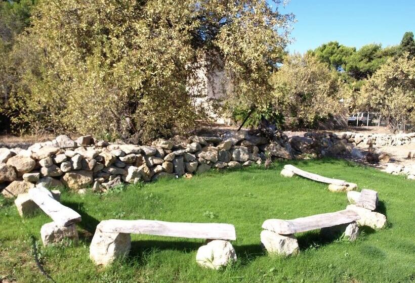 مبيت وإفطار Guesthouse Anchise 38