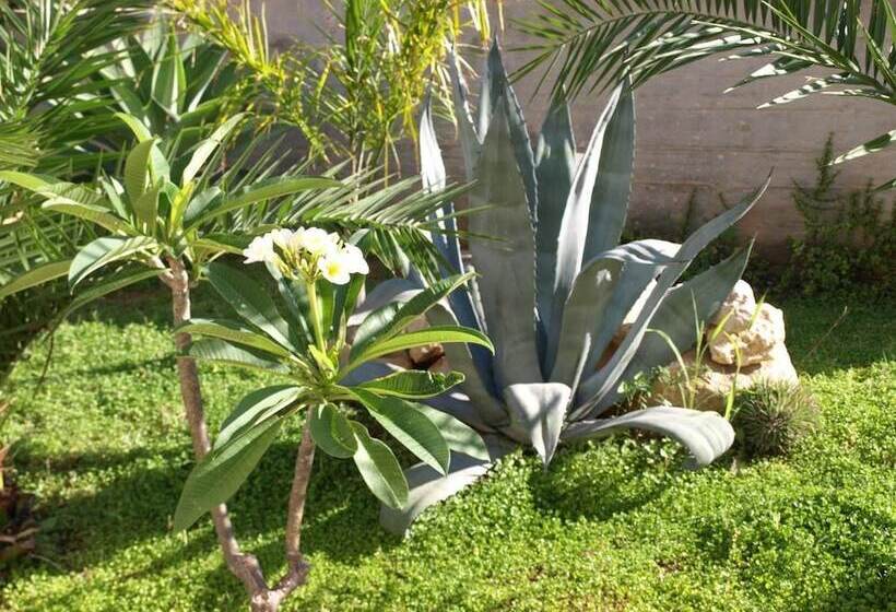 مبيت وإفطار Guesthouse Anchise 38