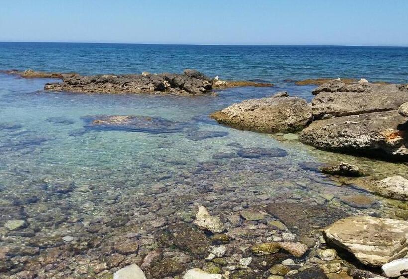 مبيت وإفطار Guesthouse Anchise 38