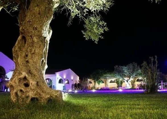 مبيت وإفطار Masseria Colle Carro Ba07200451000019667