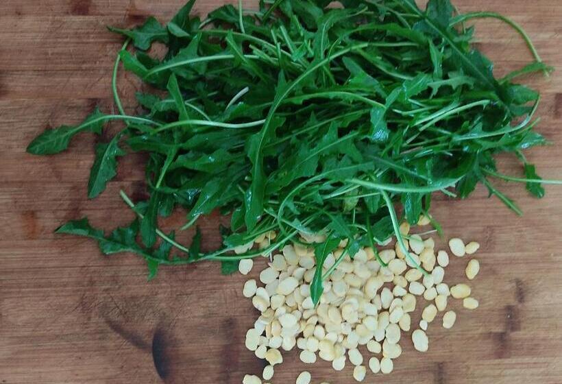 مبيت وإفطار Supramurgia Agribistrot
