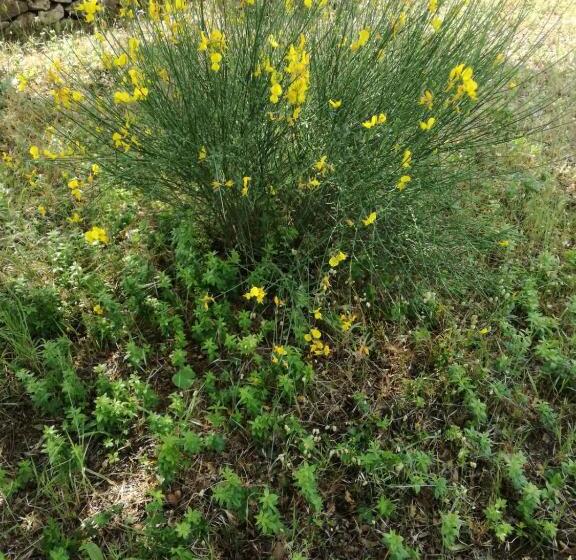 مبيت وإفطار Supramurgia Agribistrot
