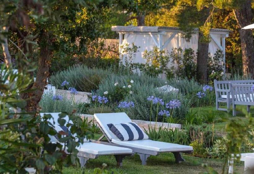 Bed and Breakfast Tenuta Del Lauro