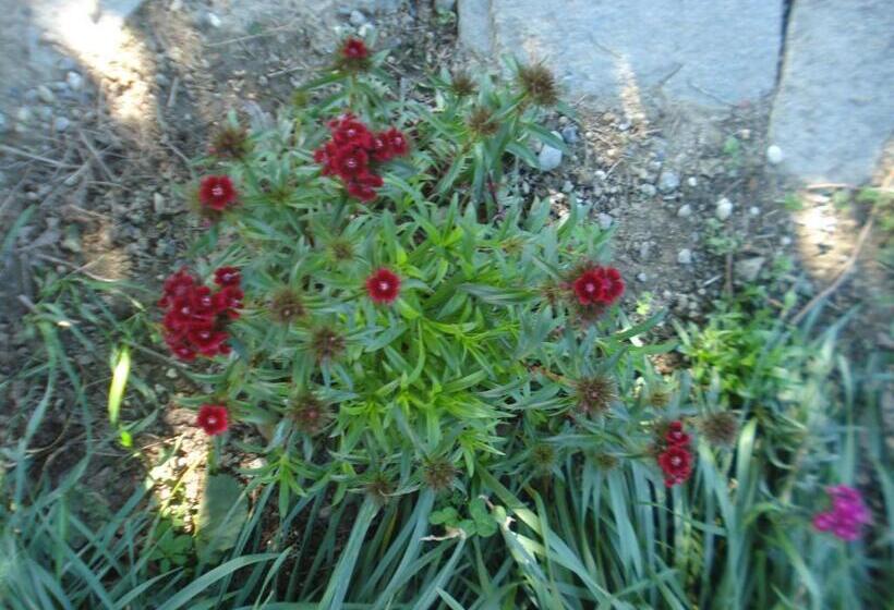 Casa T Bed And Breakfast & Home Restaurant Di Tacchino Simone