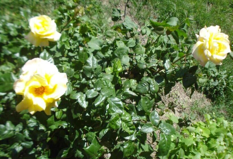 Casa T Bed And Breakfast & Home Restaurant Di Tacchino Simone