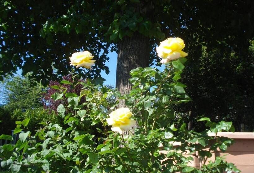 Casa T Bed And Breakfast & Home Restaurant Di Tacchino Simone