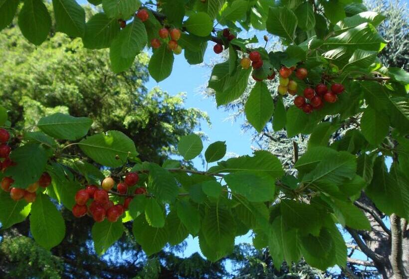 Casa T Bed And Breakfast & Home Restaurant Di Tacchino Simone