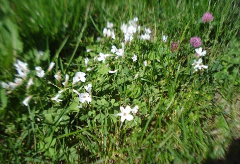 Casa T Bed And Breakfast & Home Restaurant Di Tacchino Simone