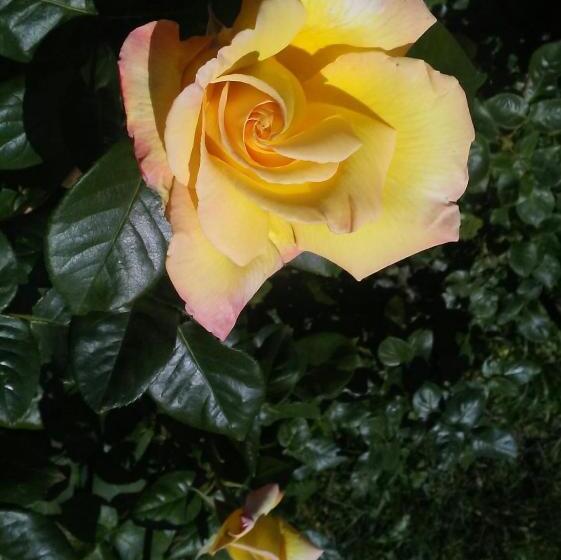 Casa T Bed And Breakfast & Home Restaurant Di Tacchino Simone