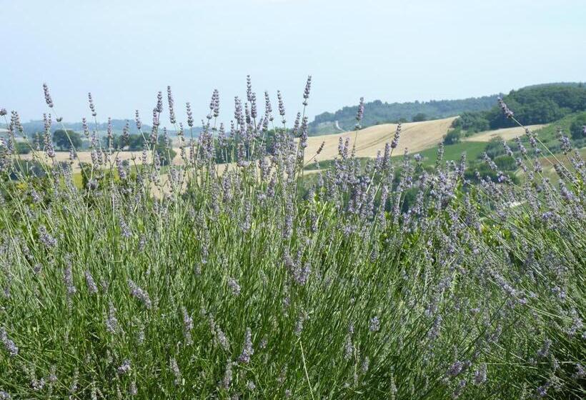 Country House Il Sassòne