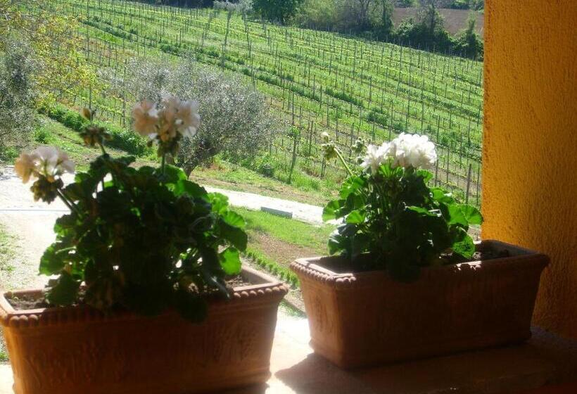 Country House Il Sassòne