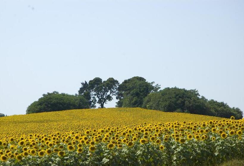Country House Il Sassòne
