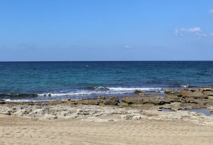 酒店 Happy Camp In Camping La Masseria