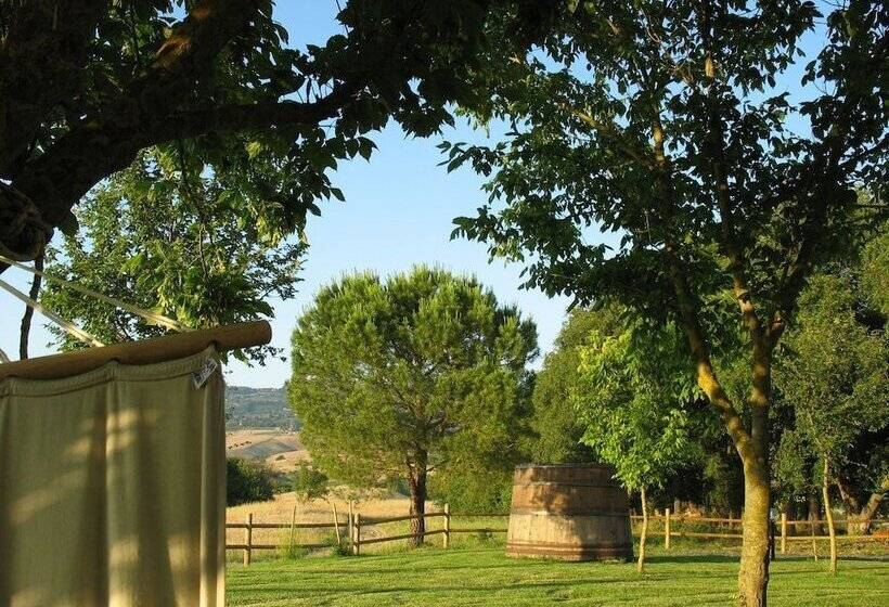 乡村酒店 Agriturismo Casa All Olmo